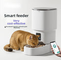 Dispensador automático de comida.